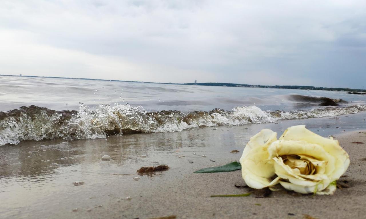 Zum Wohlfuhlen Fur 4 Erwachsene +1 Kind, Schwimmbad Vor Der Tur Tiere Erlaubt Daire Sierksdorf Dış mekan fotoğraf
