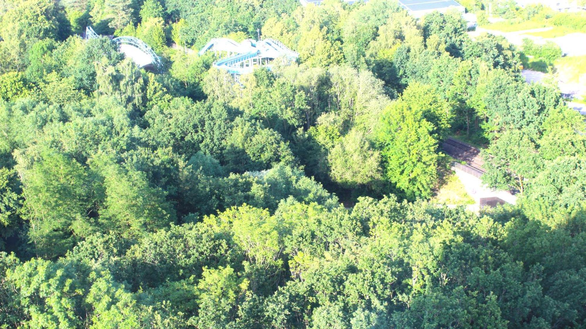 Zum Wohlfuhlen Fur 4 Erwachsene +1 Kind, Schwimmbad Vor Der Tur Tiere Erlaubt Daire Sierksdorf Dış mekan fotoğraf
